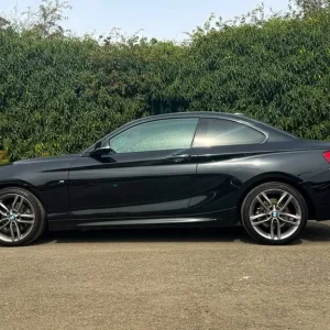 2018 BMW 2 Series 220d M Sport Coupe - Image 7