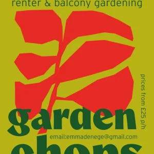 Garden maintenance and balcony gardening help - Image 2