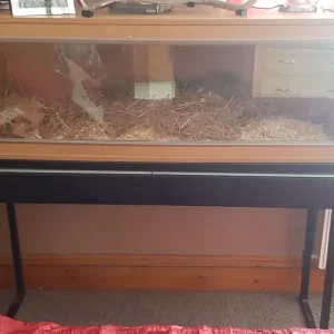 Vivarium Large