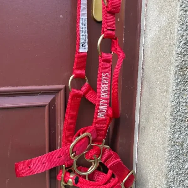 Monty Roberts Dually headcollar