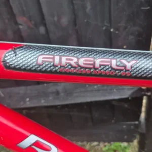 Raleigh Firefly Mountain Childs Bike - Image 2