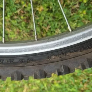 Raleigh Firefly Mountain Childs Bike - Image 3