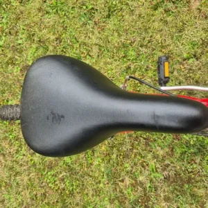 Raleigh Firefly Mountain Childs Bike - Image 4