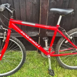Raleigh Firefly Mountain Childs Bike