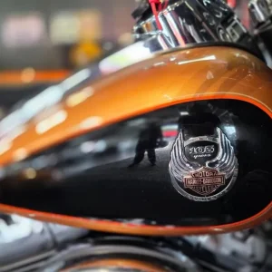 2007 Harley-Davidson Ultra Classic Brookland Trike 105th Anniversary - Image 8