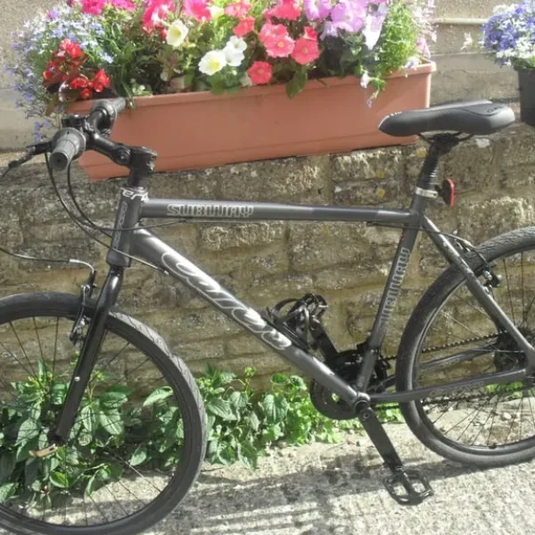 CARRERA SUBWAY ADULT BIKE