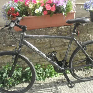 CARRERA SUBWAY ADULT BIKE