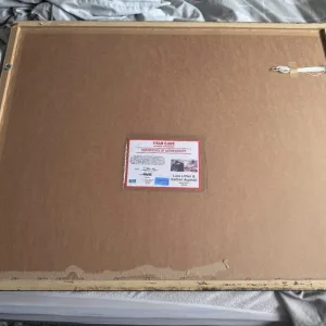 Luke Littler & Nathan Aspinall Signed Shirt Ultra Premium Frame With COA - Image 2