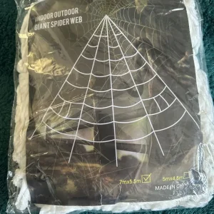 Spider and Webb - Image 2