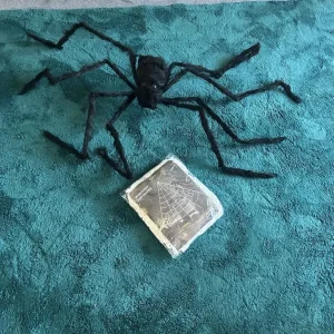 Spider and Webb - Image 3