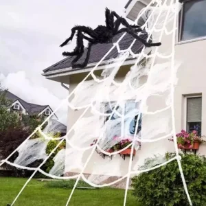 Spider and Webb