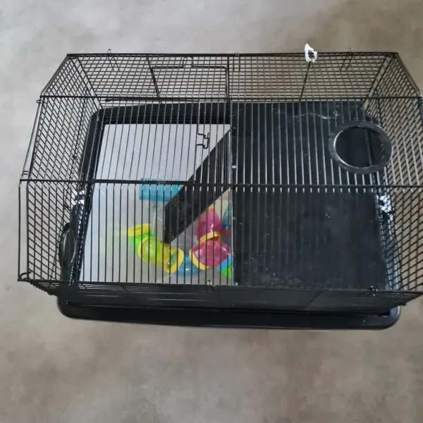 Hamster cage with tunnels and house
