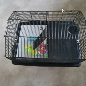 Hamster cage with tunnels and house