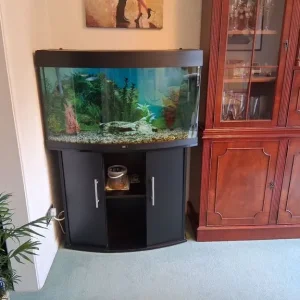 Bow front fish tank - Image 2