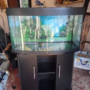 Bow front fish tank - Image 5