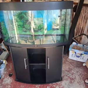 Bow front fish tank - Image 6