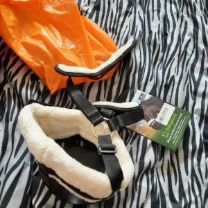 Pony rope halter and gear - Image 6