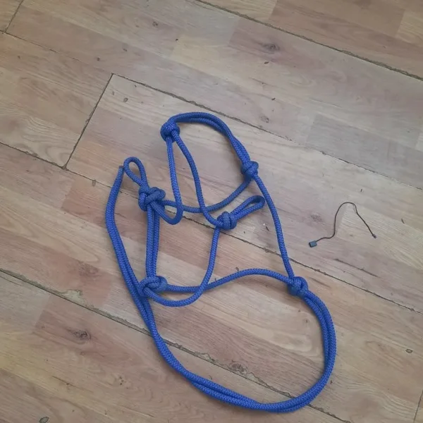 Pony rope halter and gear