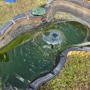 Pond with UVC filter