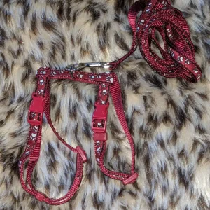 Cat and puppy gear - Image 2