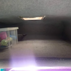 VW T4 hi-top van - Image 8