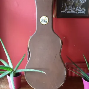 Vintage Small Guitar Case - Image 3