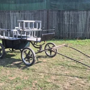 Horse carriages and exercise carts - Image 2