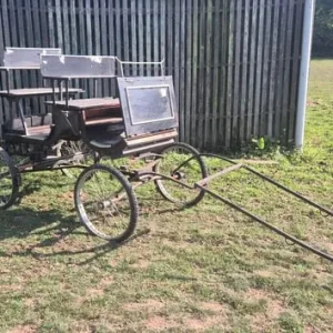 Horse carriages and exercise carts