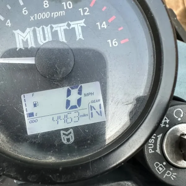 125cc HILTS Motorbike 2021