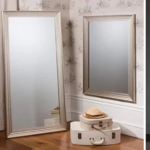 Jackson Leaner Mirror Silver 42”x30” - Image 2