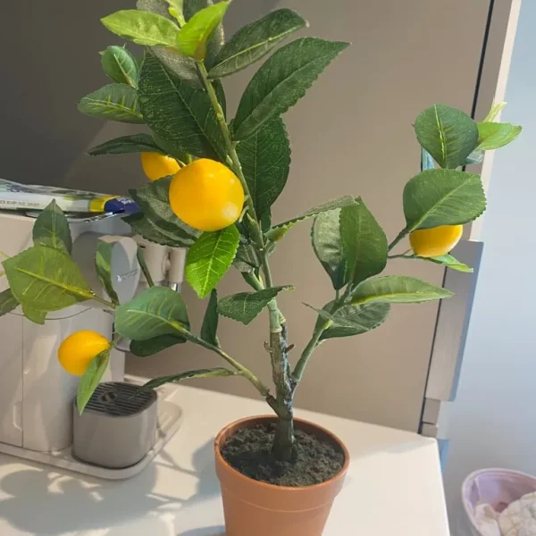 3 Artificial Plants – No Watering, Just Green Vibes