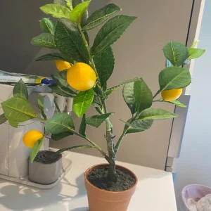 3 Artificial Plants – No Watering, Just Green Vibes