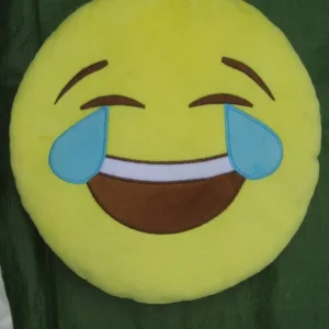 Large Ben de Lisi Cushion and Round Smiley Face Cushion - Image 3