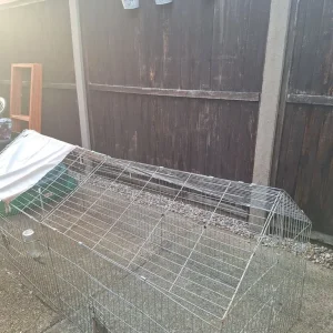 Rabbit run - Image 2