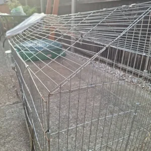 Rabbit run - Image 3