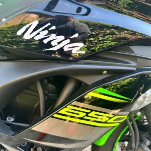 Kawasaki Ninja 650 2019 KRT Edition - Image 6