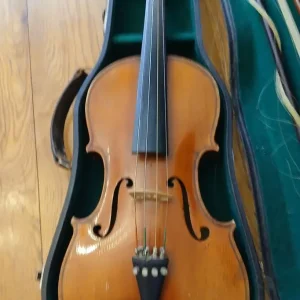 Violin