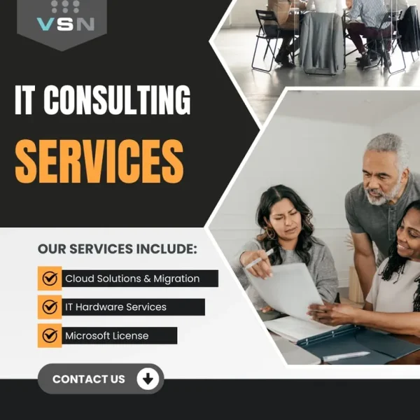 IT Consulting for Business Operations from VSN