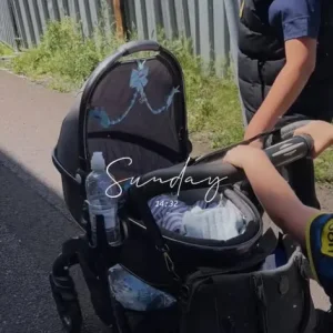 Egg pram - Image 3