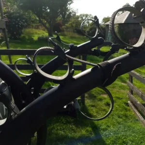 Saris bones 3 cycle carrier - Image 3