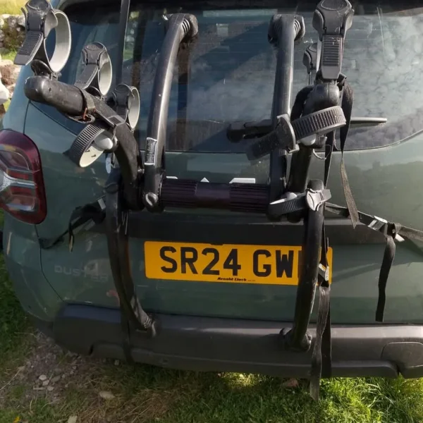 Saris bones 3 cycle carrier