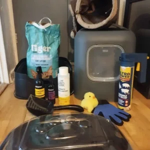 Cat Accessories Starter Bundle