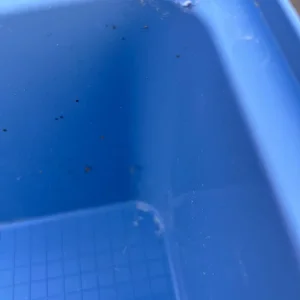 Hamster cage - Image 4