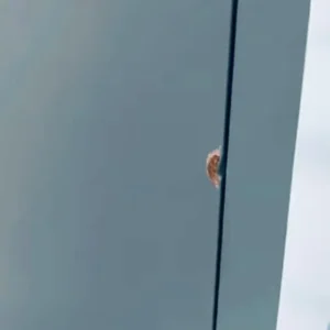 Duck egg bedside table - Image 6