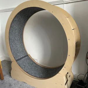 Cat wheel/treadmill