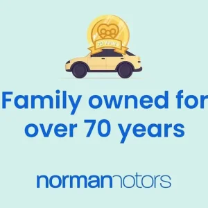 2023 Skoda Octavia TSI iV vRS Hatchback HYBRID - Image 4