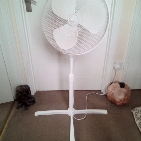 Upright fan