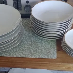 Thomas Dinner plates and dishes