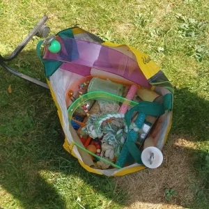 Parrot stand - Image 4