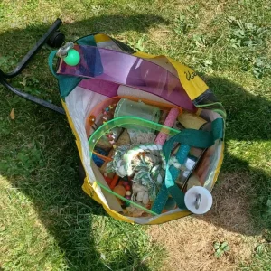 Parrot stand - Image 5